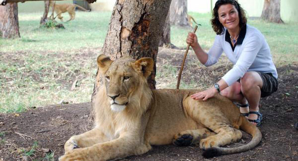 lion in mauritius